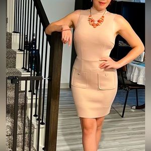 AX Pale pink dress with gold buttons-CURVY. Says size 10 but it fits like 8